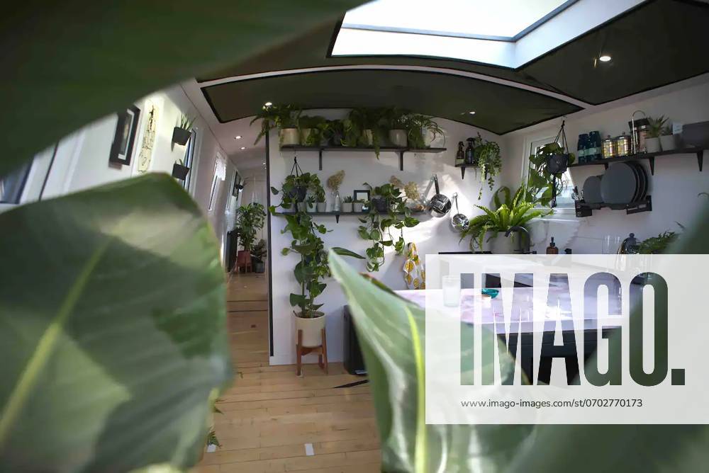 Love plants? Stay in Londons first live-in terrarium boat this summer Story from Jam Press (Terrarium Boat) Pictured: The kitchen. Love plants? Stay in Londons first live-in terrarium boat this summer Are you a plant lover? A water babe? Well, now you can take both to the next level with a stay on a ˜terrarium boat . Moored on a canal in Hackney, London, this life-size ecosystem is made for those who want to get close to nature. The 48.3 sq m boat is decked out with 150 verdant houseplants - making it a perfect live-in oasis. Terrariums are more commonly known to be small, sometimes big, glass enclosures filled with plants, stones and mosses. But this one is a floating, green sanctuary. The two-guest property is comple