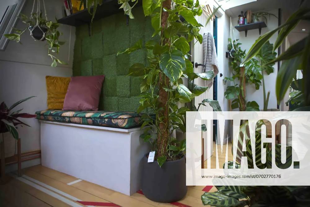 Love plants? Stay in London’s first live-in terrarium boat this summer Story from Jam Press (Terrarium Boat) Pictured: Inside The Floating Terrarium. Love plants? Stay in London’s first live-in terrarium boat this summer Are you a plant lover? A water babe? Well, now you can take both to the next level with a stay on a ‘terrarium boat . Moored on a canal in Hackney, London, this life-size ecosystem is made for those who want to get close to nature. The 48.3 sq m boat is decked out with 150 verdant houseplants - making it a perfect live-in oasis. Terrariums are more commonly known to be small, sometimes big, glass enclosures filled with plants, stones and mosses. But this one is a floating, green sanctuary. The two-guest proper