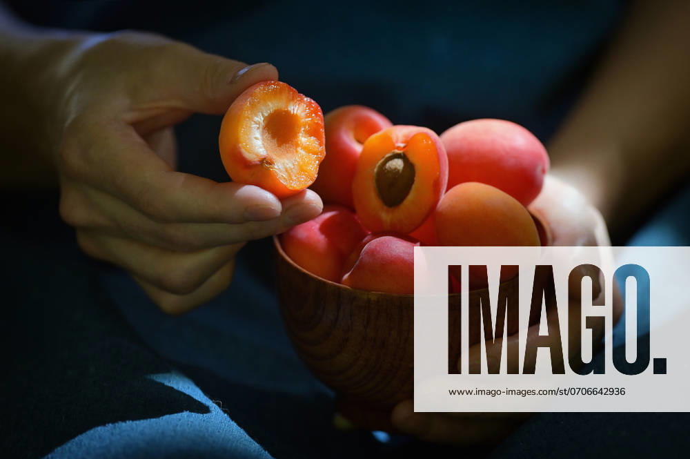 Ripe organic apricots in bowl and sunrays ,model released, Symbolfoto