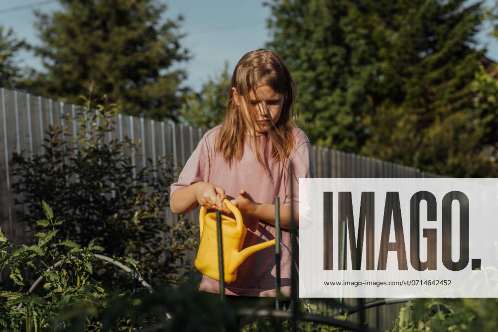 IMAGO Creative, Sommer, Sommertage im Garten Girl watering plants in the garden with yellow watering can at sunset Novosibirsk, Novosibirsk Oblast, Russia CR_IRIR240718-1490208-01 ,model released, Symbolfoto
