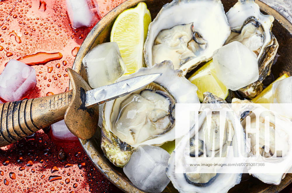 Fresh oysters of ice and lemon on retro metal background. Opened oysters on metal background ,model released, Symbolfoto