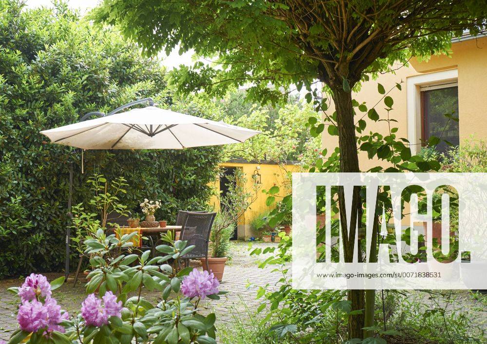 Cozy yard of an one-family house in summer property released BSCF000531