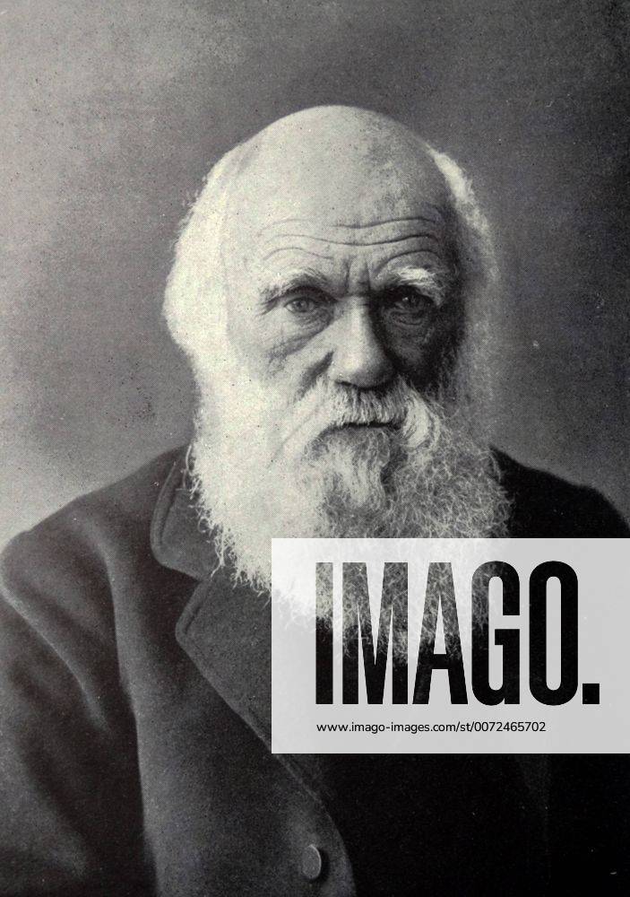 Charles Darwin 1809 - 1882 WorldxHistoryxArchive