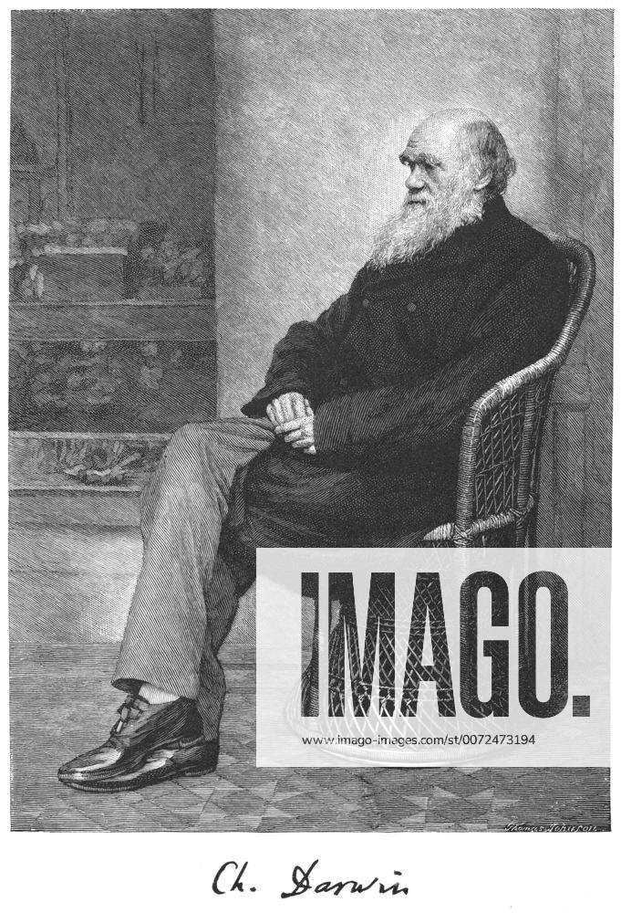 Charles Darwin (1809-1882) Darwin English naturalist. Evolution by Natural Selection. Engraving from The Century Magazine , New York, January 1883 WHA !ACHTUNG AUFNAHMEDATUM GESCHÄTZT!