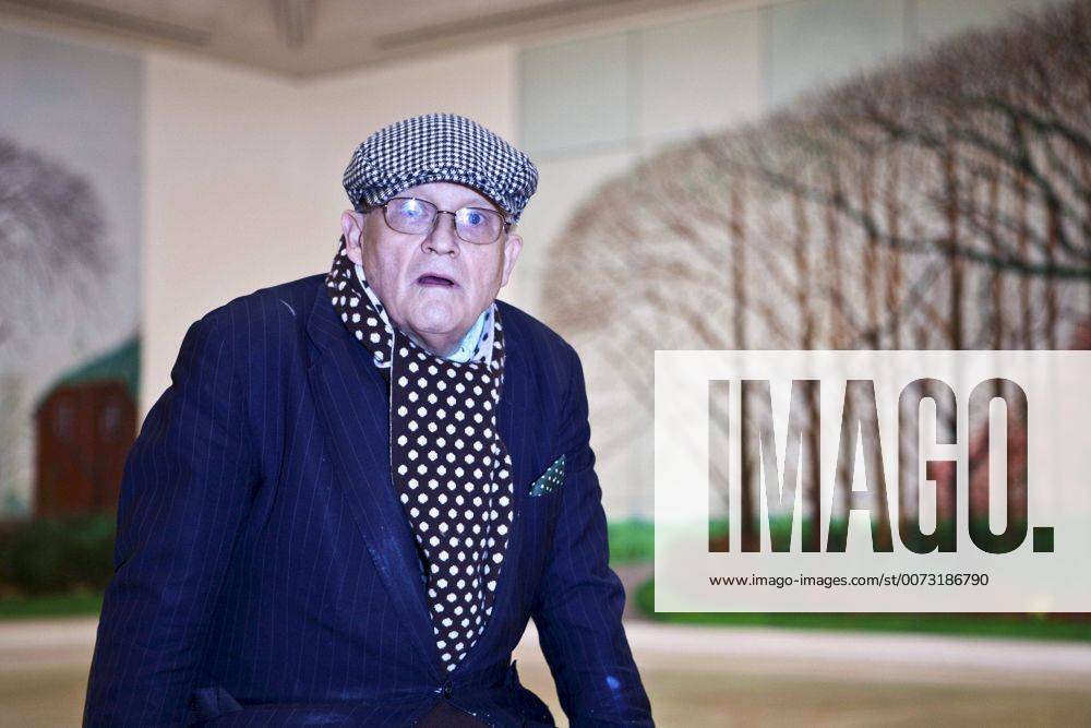 Nov. 23, 2009 - London, Great Britain - David Hockney Photocall with his work of art Bigger Trees Near Water at Tate Britain, London. 23 November 2009. Picture by Colin Chau LFI - ZUMAl60_