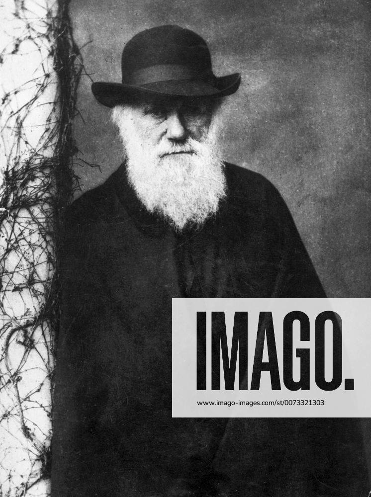 Photographic portrait of Charles Darwin (1809-1882) English naturalist and geologist. Photographed by Julia Margaret Cameron (1815-1879) British photographer. Dated 1870 WHA !ACHTUNG AUFNAHMEDATUM GESCHÄTZT!