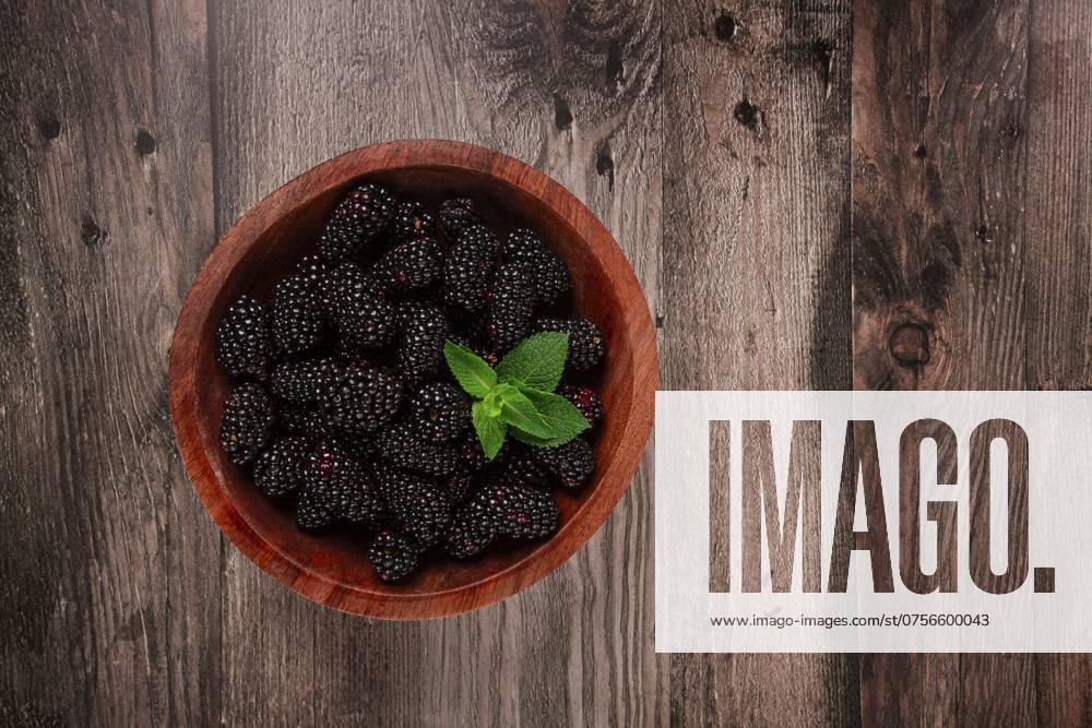 Brombeeren, in einer Holzschale, Draufsicht, ohne Menschen Blackberries, in a wooden bowl, top view, no people