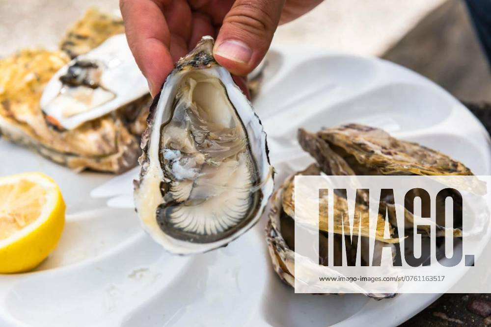 Male hand holding oysters, Male hand holding oysters on a plastic plate near the sea, Male hand holding oysters on a plastic plate near the sea, 20.08.2024,