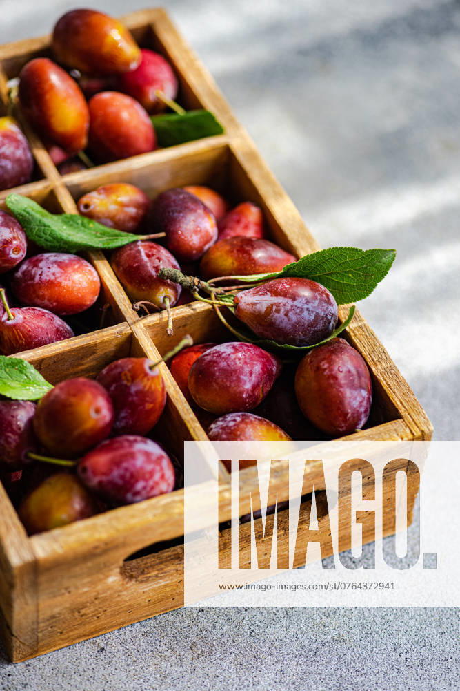 IMAGO Creative, Jahreszeit Sommer, Food, Pflaume From above organic ripe plums freshly picked from the orchard, neatly arranged in a rustic wooden crate. The vibrant colors of the plums range from deep purples to rich reds, with fresh green leaves adding a touch of natural beauty. Model Released AnnaBogush_ID23878_692869_003