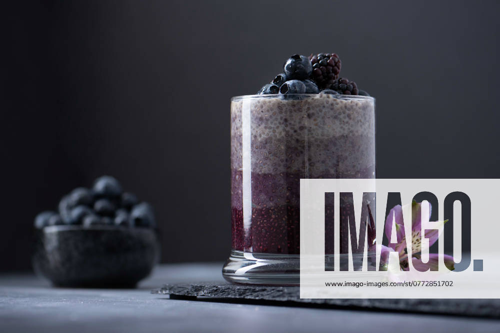 Berry chia pudding in purples Napa, California, United States CR_HOOX241012C-1517129-01