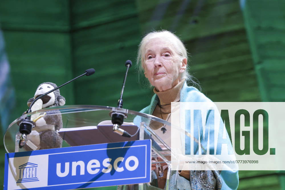Jane Goodall speaking at UNESCO headquarters in Paris Jane Goodall speaking at UNESCO headquarters in Paris, France, October 19, 2024 Jack Tribeca Bestimage Paris France