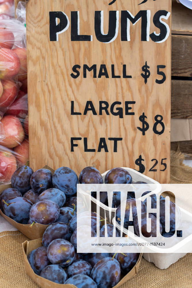 IMAGO Creative, Jahreszeit Sommer, Food, Pflaume Fresh plums in cartons for sale at a farmers market with price sign Kelowna, British Columbia, Canada R_PESF241018D-1542808-01 ,property released