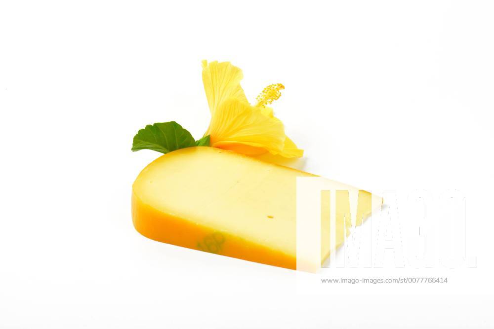 Slice of gouda cheese with hibiscus flower on white background CTKPhotoF201703101030601
