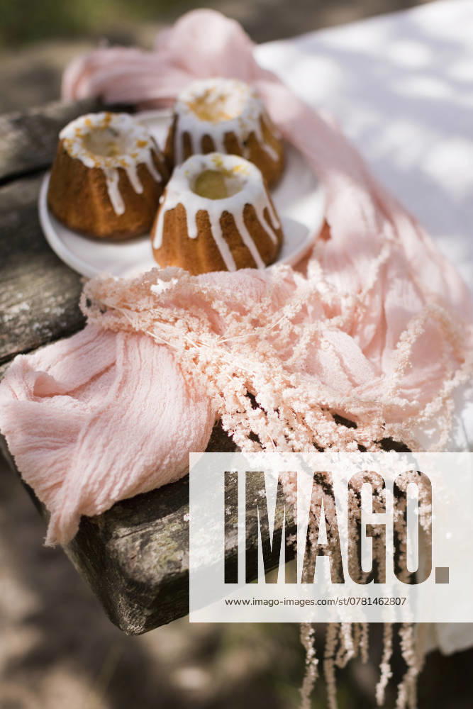IMAGO Creative, Lifestyle, Feste im Garten #2 Cupcakes served in plate on table at garden party, ONAF01034