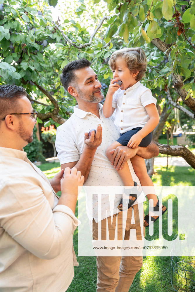 IMAGO Creative, Jahreszeit Sommer, Food, Pflaume A joyful gay couple shares a sweet moment with their young son in a lush garden. The child is smiling and eating plums, surrounded by greenery and natural light Model Released ManuelRuiz_ID25867_747165_012