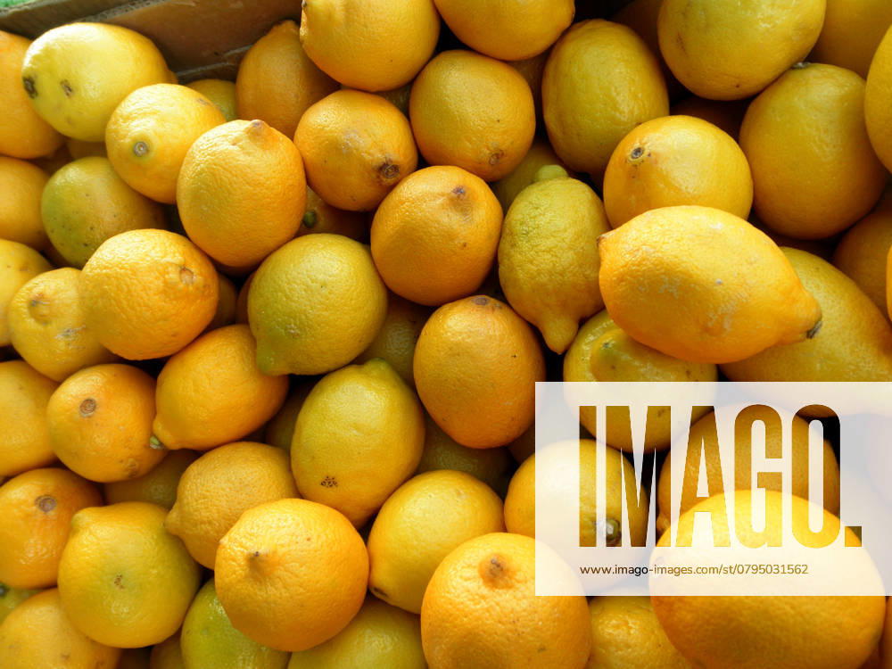 Pile of Organic Lemons found at a farmers market., model released, , 47845736.jpg, background, bright, citrus, clean, close-up, color, cool, cut, delicious, diet, drink, eating, food, fresh, freshness, fruit, full, health, healthy, image, ingredient, isolated, juice, juicy, lemon, lemonade, lifestyle, macro, natural, nature, nutrition, orange, organic, peel, reflection, refreshment, ripe, shadow, shot, single, slice, sour, studio, sun, sunny, sweet, tropical, vegetarian, view, vitamin, wet, white, yellow RECORD DATE NOT STATED