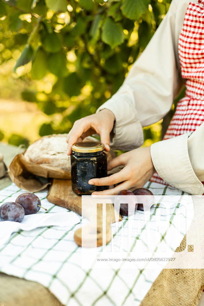 IMAGO Creative, Jahreszeit Sommer, Food, Pflaume IMAGO Creative, Jahreszeit Sommer, Food, Marmelade kochen Hands preparing canapes outdoors on a wooden board. Fresh plums, homemade jam, and artisan bread on a rustic tablecloth create a cozy and delicious scene. Model Released Ptashkimenko_ID26208_756091_003