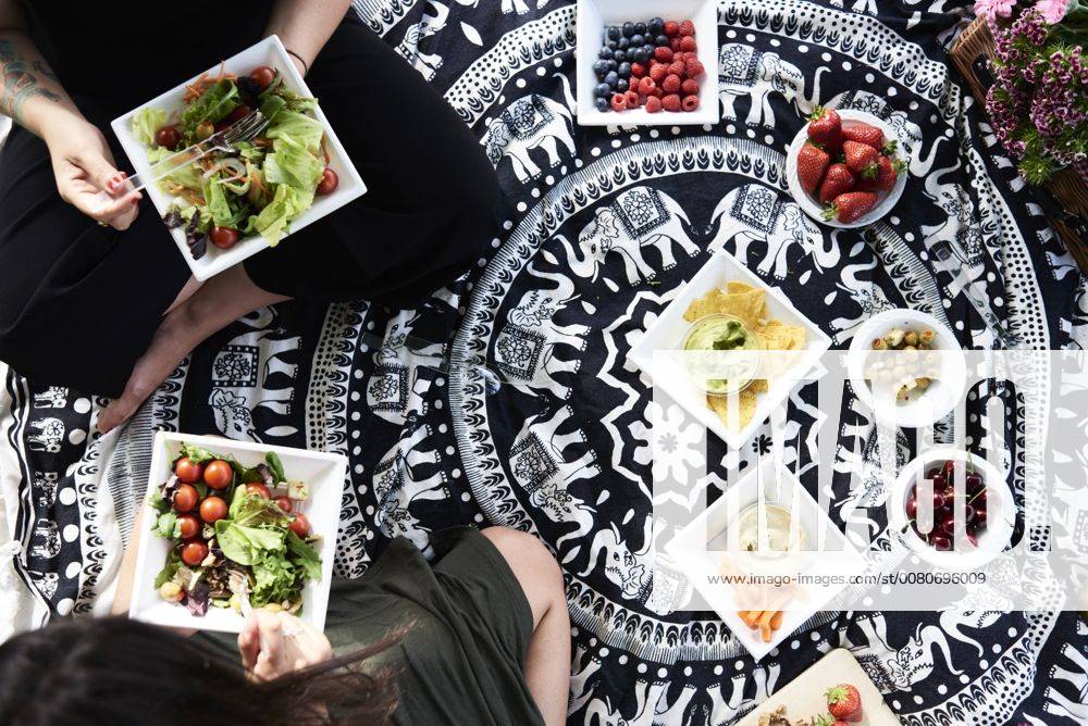 Friends having a healthy picnic in the park model released Symbolfoto IGGF00035