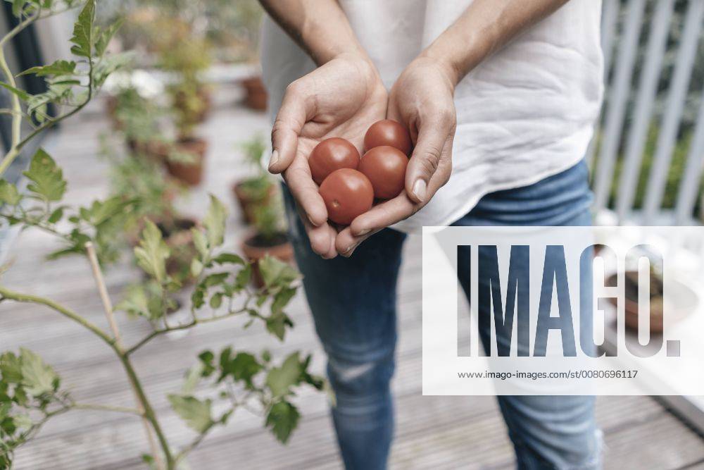 Woman on balcony holding tomatoes model released Symbolfoto property released JOSF01581