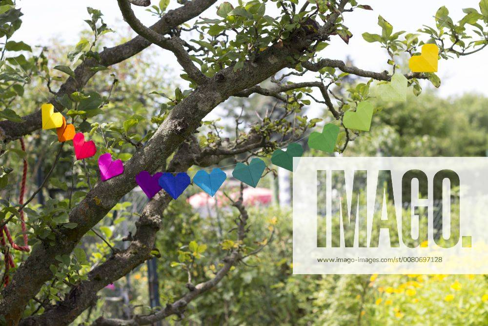 Heart shaped garland made of paper hanging in garden CMF00706