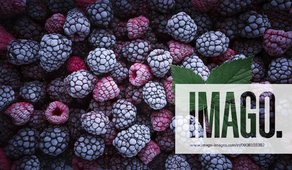 Eine Nahaufnahme zeigt eine Reihe von gefrorenen Himbeeren und Brombeeren, die ihre einzigartige Textur zur Geltung bringen. Ein frisches grünes Blatt fügt der Szene einen Farbakzent hinzu und erhöht den visuellen Reiz A close-up view features an array of frozen raspberries and blackberries, showcasing their unique textures. A fresh green leaf adds a pop of color to the scene, enhancing visual appeal