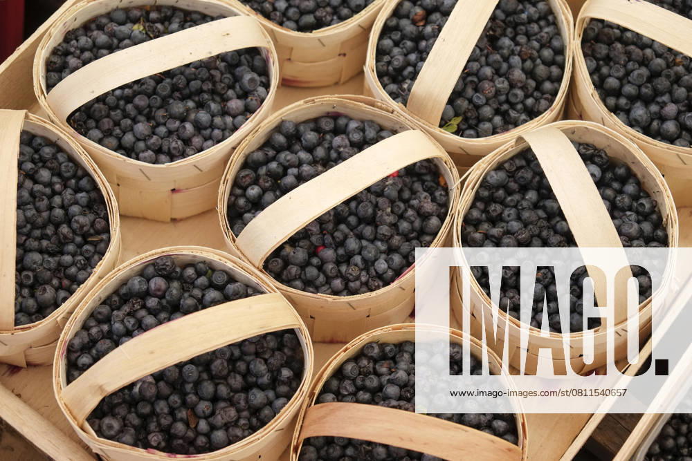 Munich, Germany. Farmers market. Wild blueberries