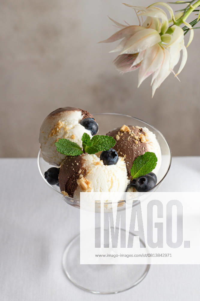 A tempting serving of vanilla and chocolate ice cream scoops adorned with fresh blueberries and mint leaves, presented elegantly in a clear glass. Model Released JuliaKuvaldina_ID27902_801535_003