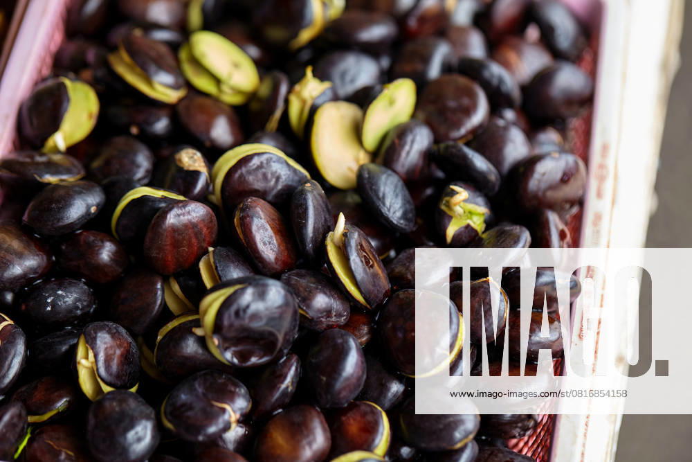 IMAGO Creative, Jahreszeit Sommer, Food, Pflaume Close-up view of Djenkol beans in market Phiman, Satun, Thailand R_GXKV250506A-1719644-01
