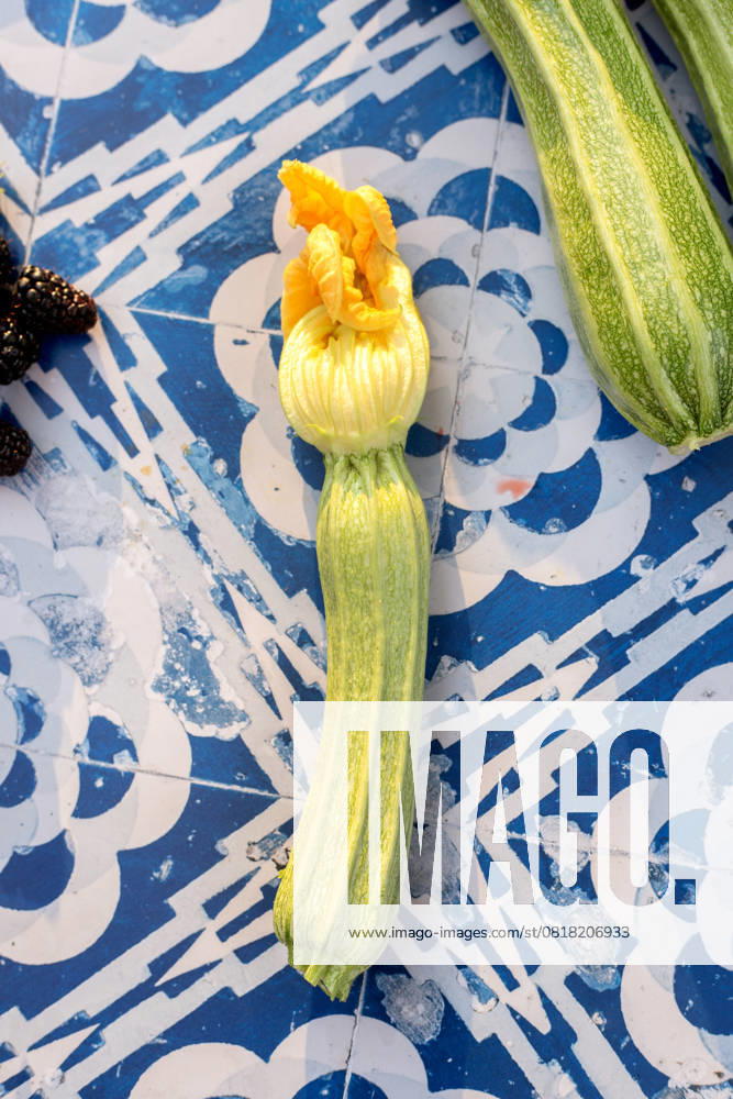 Berries, zucchini and zucchini blossoms on blue tiles Boise, Idaho, United States R_LEROEZ250507-1716832-01
