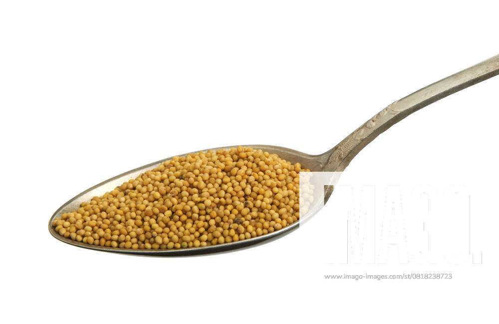 Senf in einem alten Löffel vor einem weißen Hintergrund. Gewürz auf Isolat. Blick von oben. Senfkörner Trockengewürz Senf in einem alten Löffel isoliert auf einem weißen Hintergrund. Spice auf Isolat. Blick von oben. Mustard Seeds Trockengewürz