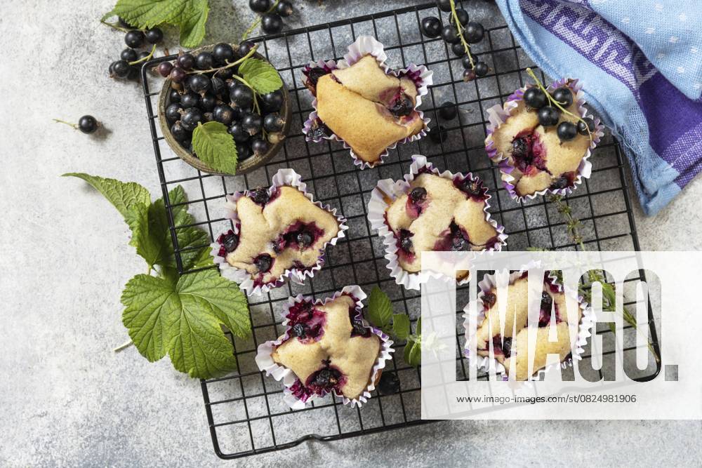 Gesunde Nachspeise. Veganes glutenfreies Gebäck. Haferflocken Bananen Muffins mit schwarzen Johannisbeeren auf einem Steintisch. Blick von oben Healthy dessert. Vegan gluten-free pastry. Oatmeal banana muffins with black currant on a stone table. View from above