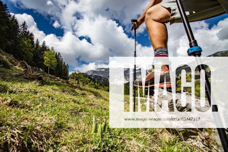 Leg of a Mountain Hiker with Shoe and Walking Poles on Rock in the Mountains 1098800036