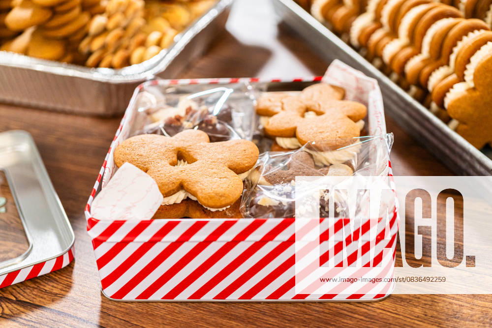 IMAGO Creative, Weihnachten, Food, Backen, Lebkuchen Festive Christmas Tin Boxes Filled with Chocolate-Dipped Treats Lovingly homemade gingerbread and sugar cookies, half-dipped in rich chocolate, nestled in decorative Christmas tin boxes perfect for seasonal gifting., 59373308.jpg RECORD DATE NOT STATED