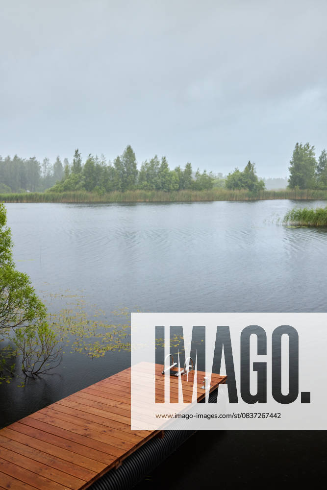 IMAGO Creative, Jahreszeit Sommer, Regen, Sommerregen Calm lake scene with wooden dock and swans during rainy weather Saint Petersburg, Saint Petersburg, Russia R_KNCD251008-1849887-01