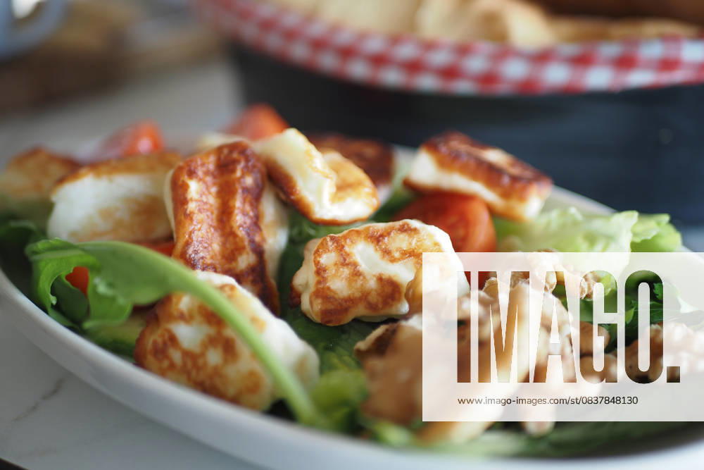 Closeup of serve grilled Halloumi cheese serve grilled Halloumi cheese., 60773740.jpg RECORD DATE NOT STATED