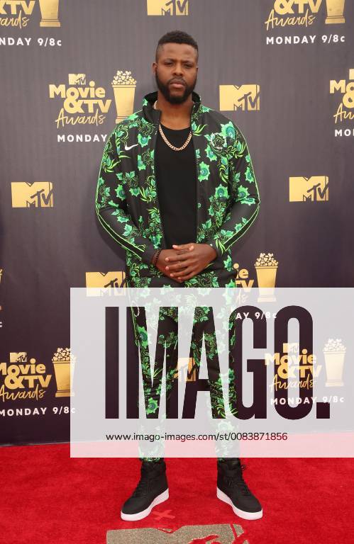SANTA MONICA, CA - JUNE 16: Winston Duke, at the 2018 MTV Movie And TV Awards at The Barker Hangar on June 16, 2018 in Santa Monica, California.