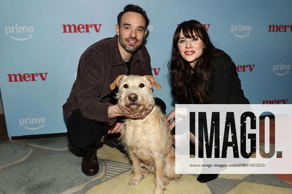 Screening of Merv at the Crosby St Hotel Featuring: Charlie Cox, Gus, Zooey Deschanel Where: New York, New York, United States When: 08 Dec 2025 Credit: Dave Allocca Starpix INSTARimages . NOT FOR USE BY NEWSPAPERS BASED IN THE UK.