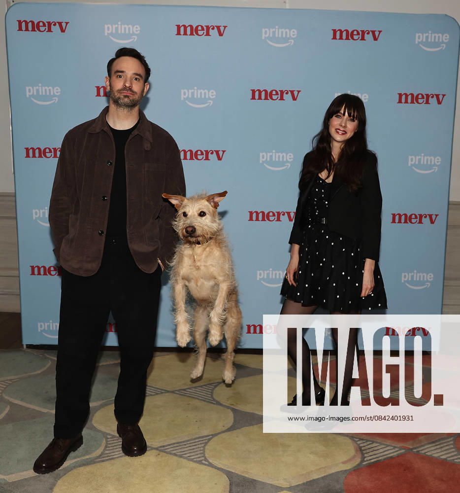 Screening of Merv at the Crosby St Hotel Featuring: Charlie Cox, Gus, Zooey Deschanel Where: New York, New York, United States When: 08 Dec 2025 Credit: Dave Allocca Starpix INSTARimages . NOT FOR USE BY NEWSPAPERS BASED IN THE UK.