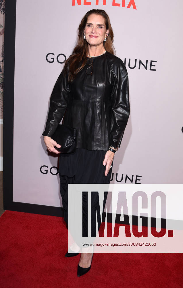 Netflix s Goodbye June NY l screening at the Whitby Hotel on December 8, 2025 in New York city. Brooke Shields at Netflix s Goodbye June NY screening at the Whitby Hotel on December 8, 2025 in New York city., Credit:Darla Khazei Avalon
