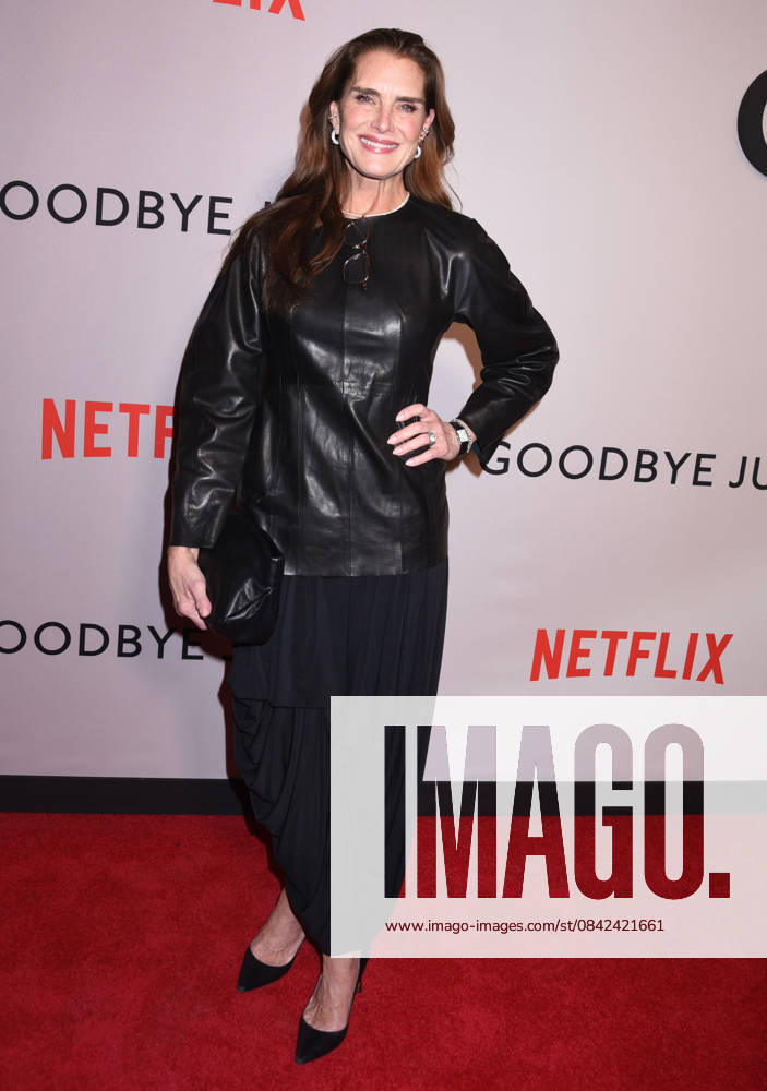 Netflix s Goodbye June NY l screening at the Whitby Hotel on December 8, 2025 in New York city. Brooke Shields at Netflix s Goodbye June NY screening at the Whitby Hotel on December 8, 2025 in New York city., Credit:Darla Khazei Avalon