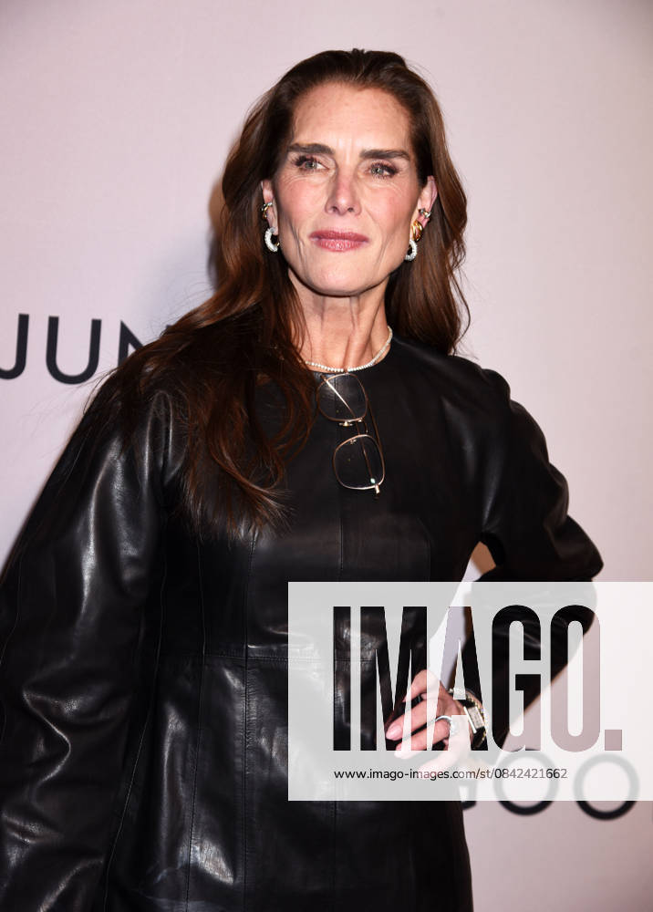 Netflix s Goodbye June NY l screening at the Whitby Hotel on December 8, 2025 in New York city. Brooke Shields at Netflix s Goodbye June NY screening at the Whitby Hotel on December 8, 2025 in New York city., Credit:Darla Khazei Avalon