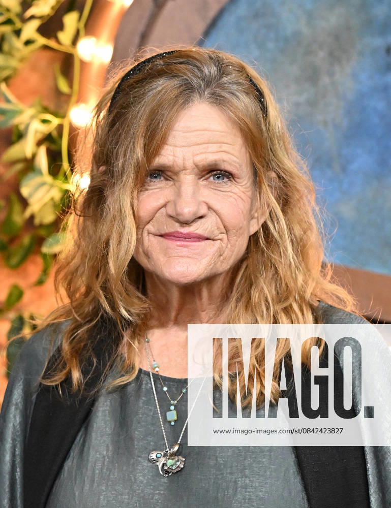 ˜Fallout Season 2 Premiere Dale Dickey arriving to Amazon Prime Videos Fallout season 2 premiere held at the Academy Museum of Motion Pictures on December 8, 2025 in Los Angeles, Ca. Los Angeles Academy Museum of Motion Pictures California USA