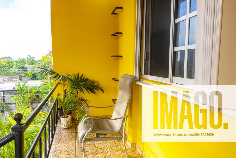 Balcony with armchair table and tropical plants palm trees Mexico. Playa del Carmen Quintana Roo Mexico 19. December 2024 Balcony with armchair table and tropical plants palm trees in Playa del Carmen Quintana Roo Mexico., 64767856.jpg RECORD DATE NOT STATED