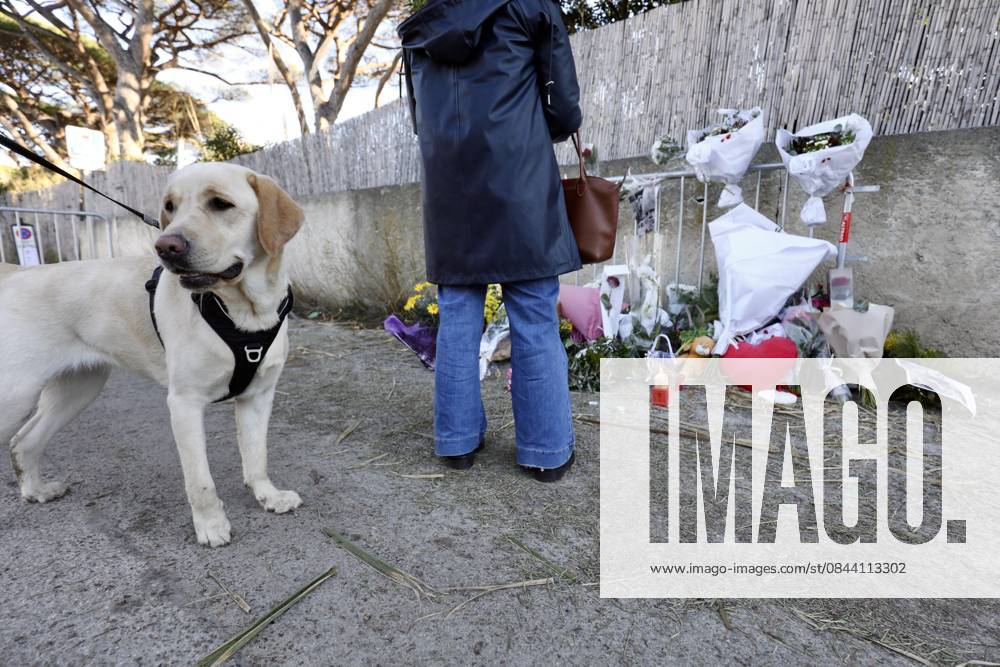 DECES BRIGITTE BARDOT PHOTOPQR NICE MATIN 29 12 2025 Photo Florian ESCOFFIER NICE MATIN SAINT TROPEZ LA MADRAGUE UN JOUR APRES LE DECES BRIGITTE BARDOT Brigitte Bardot her admirers pay tribute to her in front of La Madrague, her villa in Saint Tropez France