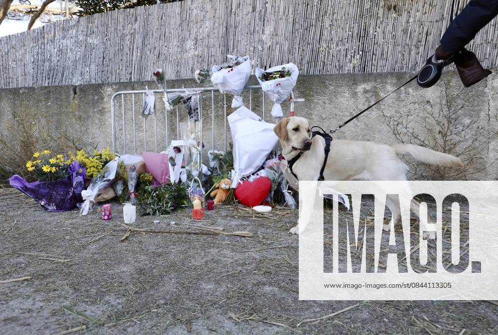 DECES BRIGITTE BARDOT PHOTOPQR NICE MATIN 29 12 2025 Photo Florian ESCOFFIER NICE MATIN SAINT TROPEZ LA MADRAGUE UN JOUR APRES LE DECES BRIGITTE BARDOT Brigitte Bardot her admirers pay tribute to her in front of La Madrague, her villa in Saint Tropez France