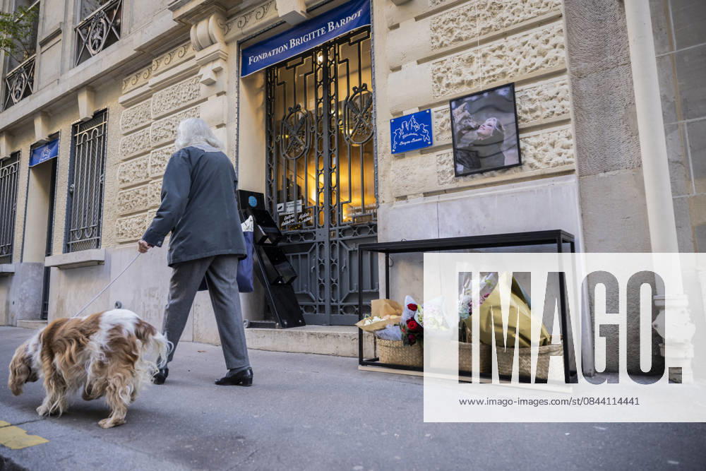 Flowers at Fondation Brigitte Bardot After Actress Death - Paris This picture shows the entrance of the Fondation Brigitte Bardot with a flowers set on the door following the death of French actress and animal rights activist Brigitte Bardot in Paris on December 28, 2025. Photo by Eliot Blondet ABACAPRES.COM Paris Ile-de-France France