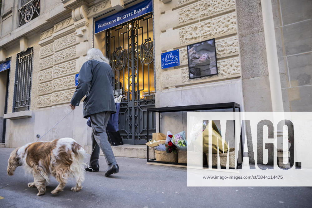 Flowers at Fondation Brigitte Bardot After Actress Death - Paris This picture shows the entrance of the Fondation Brigitte Bardot with a flowers set on the door following the death of French actress and animal rights activist Brigitte Bardot in Paris on December 28, 2025. Photo by Eliot Blondet ABACAPRES.COM Paris Ile-de-France France