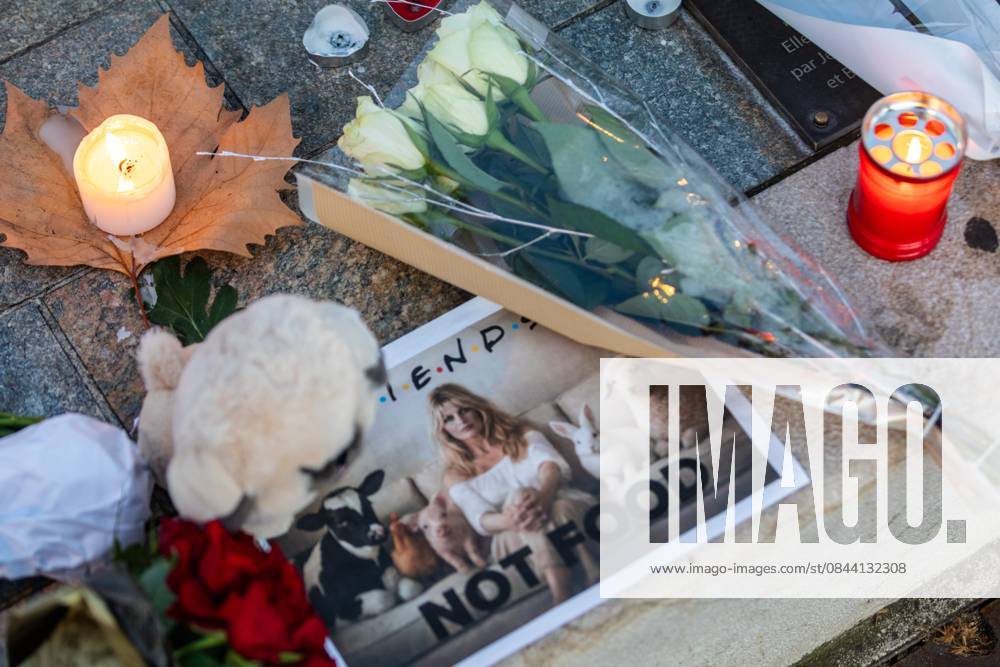 SAINT TROPEZ DECES BRIGITTE BARDOT PHOTOPQR NICE MATIN Florian ESCOFFIER SAINT TROPEZ LE 29 12 2025 UN JOUR APRES LE DECES BRIGITTE BARDOT 29 12 2025 - Death of Brigitte Bardot In downtown Saint Tropez, fans pay tribute to the late star by laying flowers in front of the BB statue at Place Blanqui France