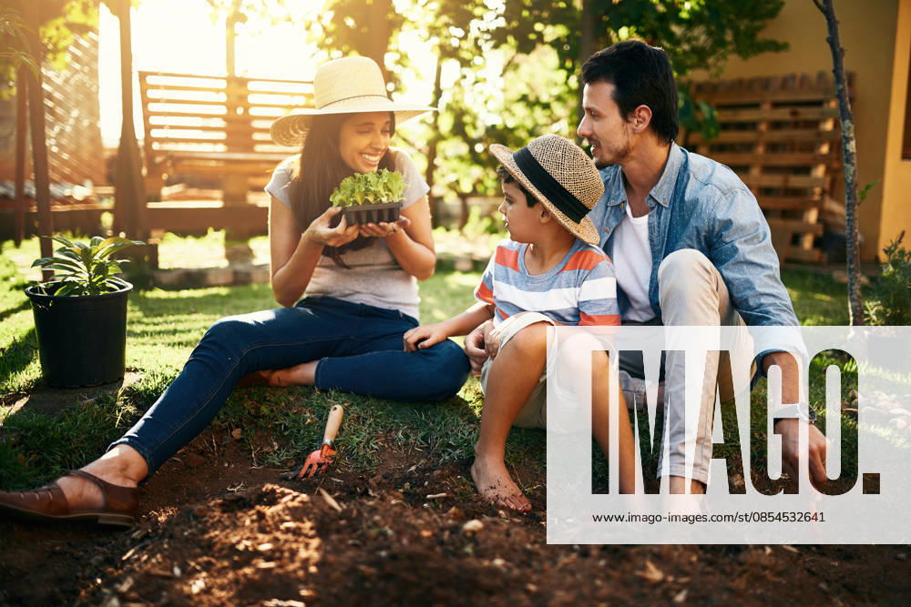 If we plant these with love, they will grow beautifully. a family gardening together in their backyard (License=RF) ,model released, Symbolfoto