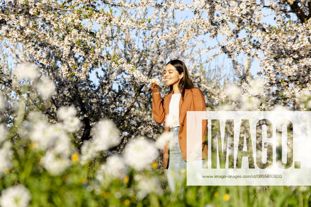 Smiling model smelling blooming tree in spring orchard in Spain model released, Symbolfoto, YPF00251